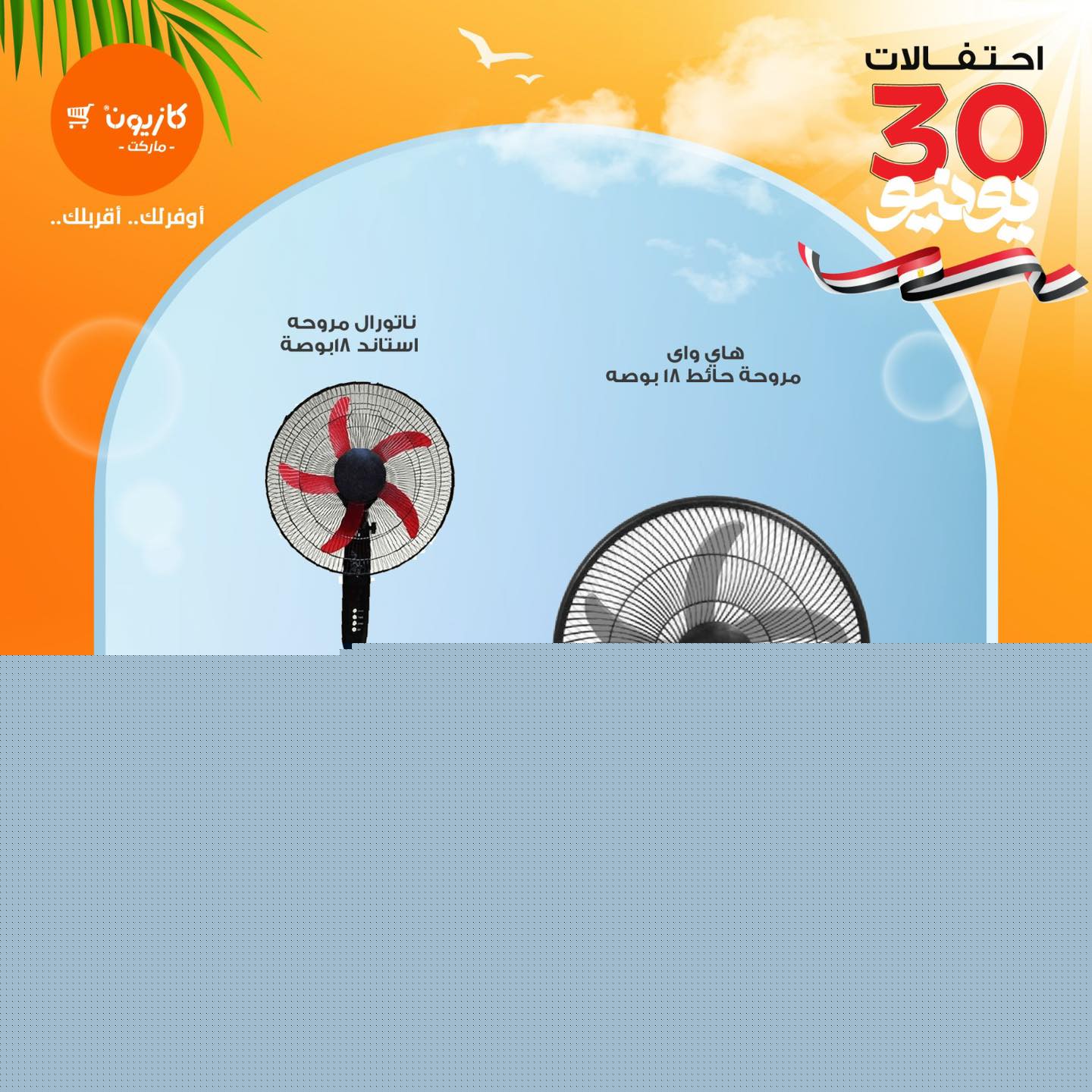 kazyon offers from 23jun to 5jun 2025 عروض كازيون من 23 يونيو حتى 5 يونيو 2025 صفحة رقم 3